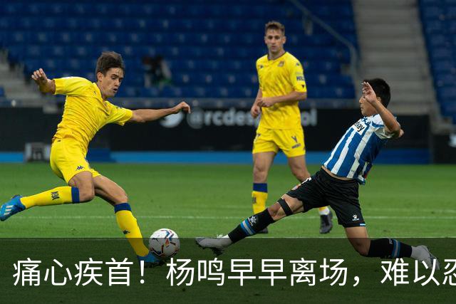 痛心疾首！杨鸣早早离场，难以忍受失利